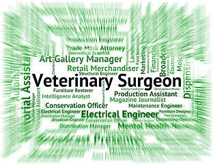 Image showing Veterinary Surgeon Means Veterinarian Text And Words