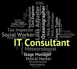 Image showing It Consultant Indicates Information Technology And Advisers