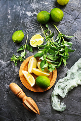 Image showing ingredients for mojito