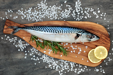 Image showing Mackerel Fish for Healthy Eating