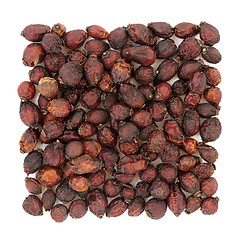 Image showing Rose Hip Herbal Medicine