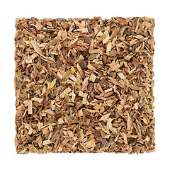 Image showing White Willow Bark Herb