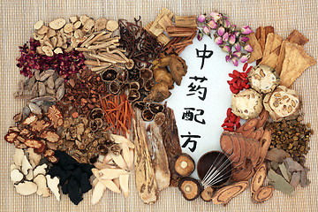 Image showing Chinese Acupuncture and Herbal Medicine