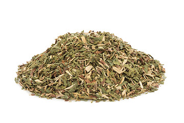 Image showing Thuja Leaf Herb 