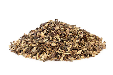 Image showing Echinacea Root Herb