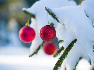 Image showing christmas tree ball decoration