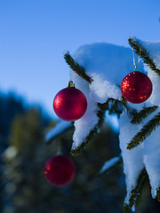 Image showing christmas tree ball decoration