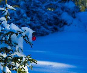 Image showing christmas tree ball decoration