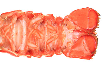 Image showing orange lobster isolated