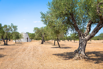 Image showing Puglia Region, Italy. Traditional warehouse made of stone