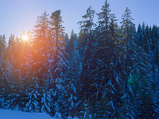 Image showing winter landscape