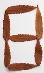 Image showing 8 eight number: alphabet and numbers with autumn brown red dry leaf on white background