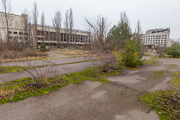 Image showing Central square in overgrown ghost city Pripyat.