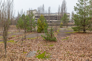 Image showing Central square in overgrown ghost city Pripyat.