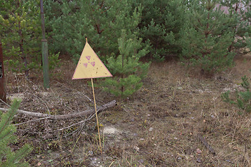 Image showing Radiation sign in forest near power plant in Chernobyl Exclusion Zone, Ukraine