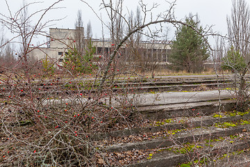 Image showing Central square in overgrown ghost city Pripyat.