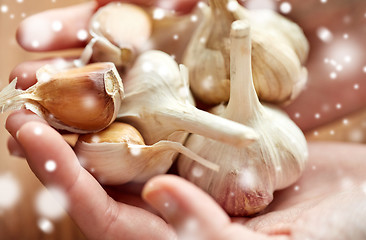 Image showing close up of woman hands holding garlic