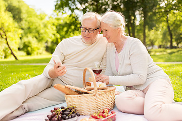 Image showing senior couple with smartphone at picnic in park