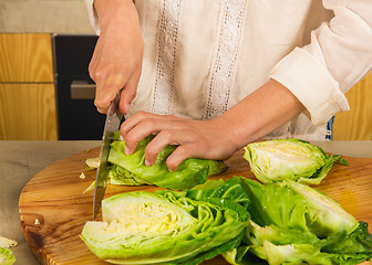 Image showing Chopped cabbage. 