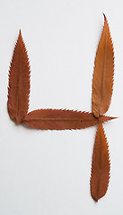 Image showing 4 four number: alphabet and numbers with autumn brown red dry leaf on white background