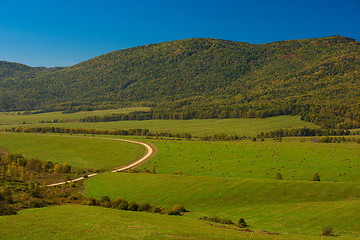 Image showing Road at the Altay mountains