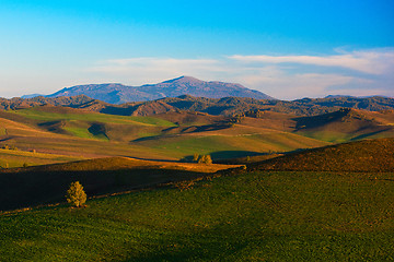 Image showing Beauty summer evening in the mountains