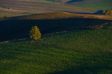 Image showing Beauty summer evening in the mountains