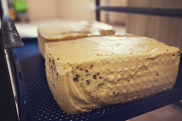 Image showing aging cheese heads