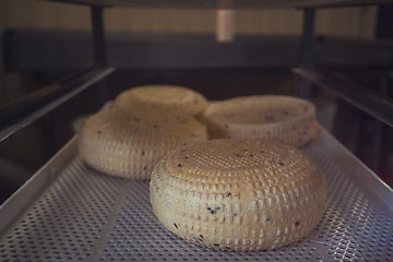 Image showing aging cheese heads