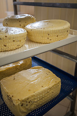 Image showing aging cheese heads
