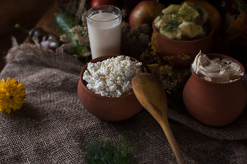 Image showing Organic domestic food