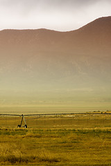 Image showing Irrigation System in the Field