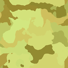 Image showing Camouflage pattern