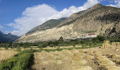 Image showing Marpha village and apple gardens in Mustang