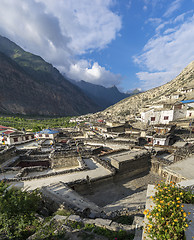 Image showing Marpha village and apple gardens in Mustang