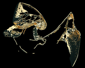 Image showing Liquid gold or oil splatter and splashes isolated on black