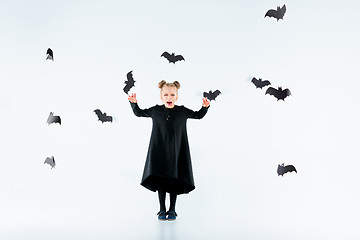 Image showing Little girl witch in black dress over magical accessories. Halloween, the studio evening.