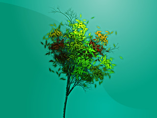 Image showing Autumn tree