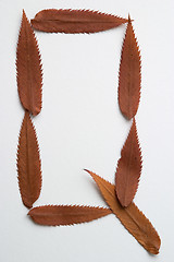 Image showing Q letter: alphabet and numbers with autumn brown red dry leaf on white background