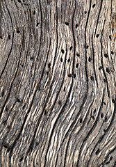 Image showing Abstract cracked wood