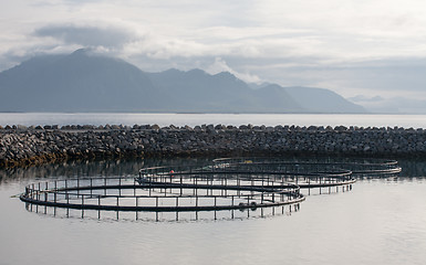 Image showing fish farm in open sea