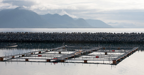 Image showing fish farm in open sea