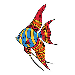 Image showing Isolated Freshwater angelfish aquarium fish
