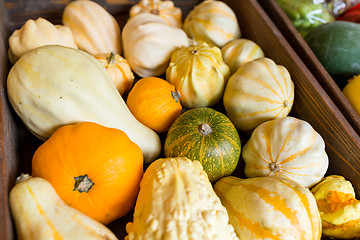 Image showing Assorted pumpkin