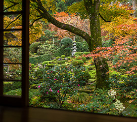 Image showing Japanese wooden temple in autumn season