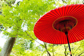 Image showing Red umbrella with green tree