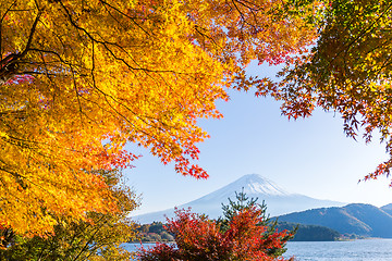 Image showing Mt Fuji in autumn view from lake Kawaguchiko