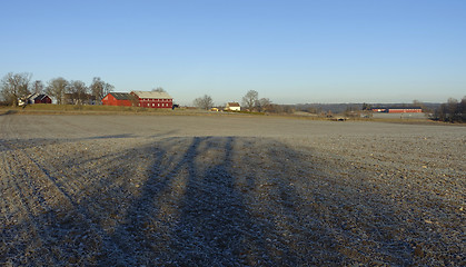 Image showing Farmland in the winter