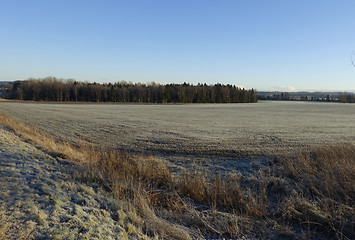 Image showing Farmland in the winter