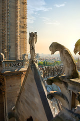 Image showing Chimeras on cathedral